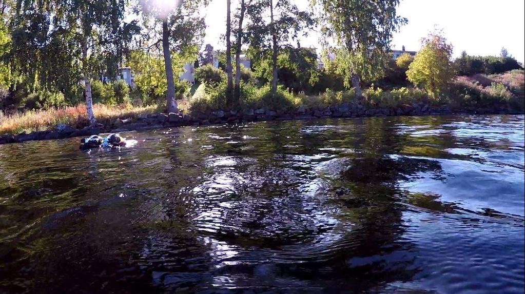 Kuva 40. Hirsiarkkukeskittymän alueelta otettu kuva kohti rantaa. Rannan kivimuuri on todennäköisesti Onkiniemen panimon rakennusten jäänteitä.
