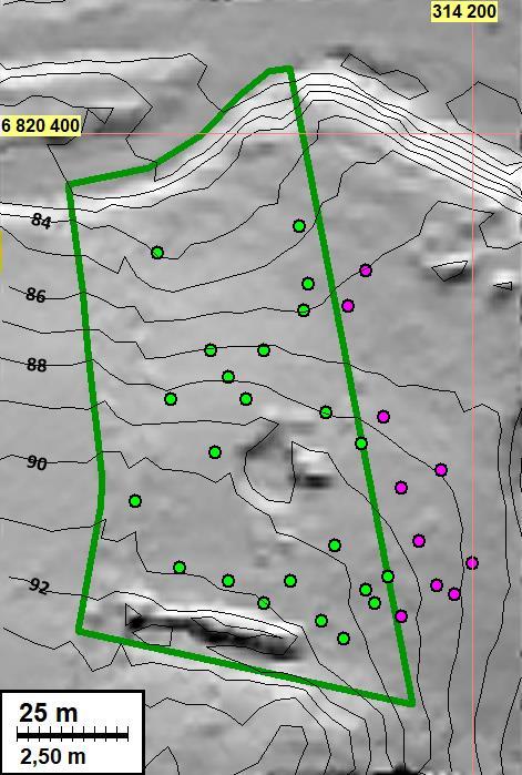 Tarkkuusinventoitu alue on rajattu vihreällä viivalla. Alueelle tehdyt koekuopat on merkattu vaalean vihreillä pisteillä ja alueen ulkopuolelle tehdyt koekuopat violeteilla pisteillä.