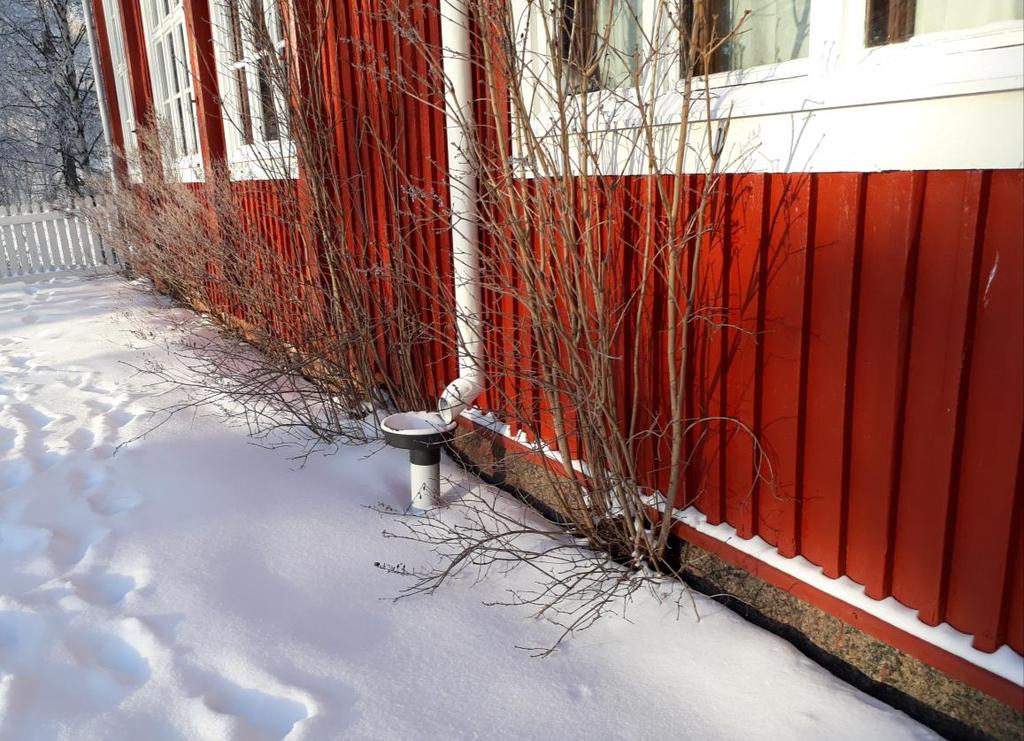 Kuva 4. B- rakennuksen vaurioitunutta aluskatetta.