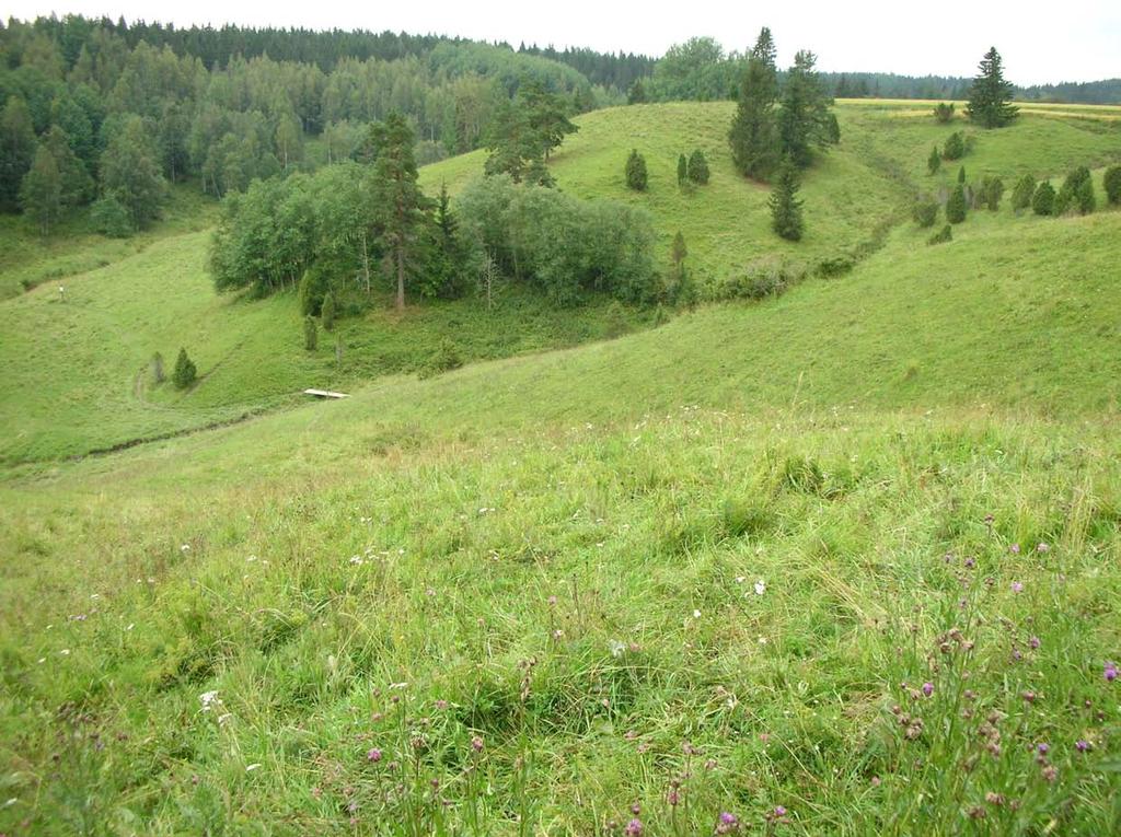 Esimerkiksi Someron Rekijokilaaksossa riittää vielä hoidon järjestämistä hoitamattomille alueille, vaikka maatalouden erityistuen ja hankkeiden avulla on jo saatu hoidon piiriin noin 300 hehtaaria