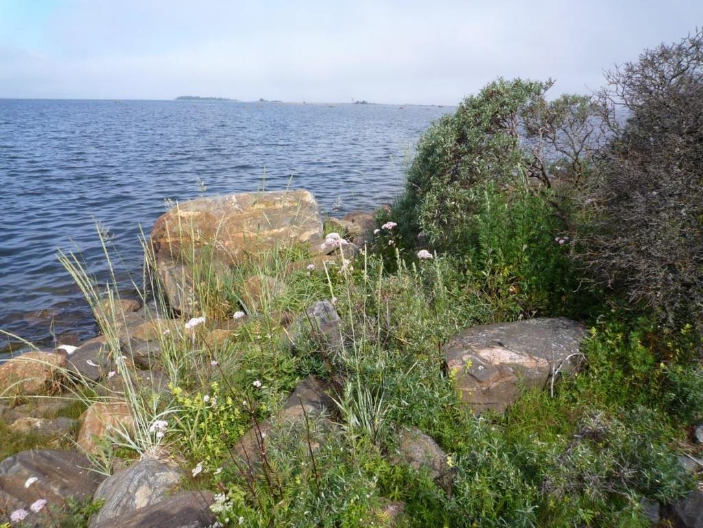 Länsikivi on Halluskerin lounaiskärjessä. Nimensä paikka on saanut rannassa länteen osoittavasta juovikkaasta gneissi-kivipaadesta. Kiven kohdalla on entisaikaan ollut talvisin hyvä madepaikka.