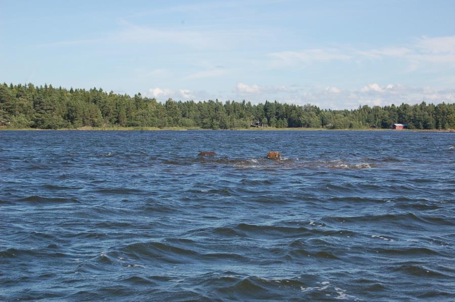 Alman laaka on lähellä Merikarviajoen suuta, Kuuskerin luodosta reilun kilometrin verran länsi-luoteeseen. Alma-nimisen naisen kerrotaan monta sukupolvea sitten soutaneen kivelle.