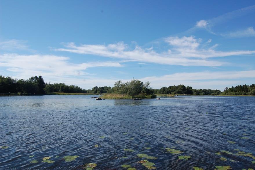 Mäntykari on Merikarviajoen suistossa. Se on muutaman aarin kokoinen saari, joka on saanut nimensä tervaleppien keskellä saaressa kasvavasta männystä.