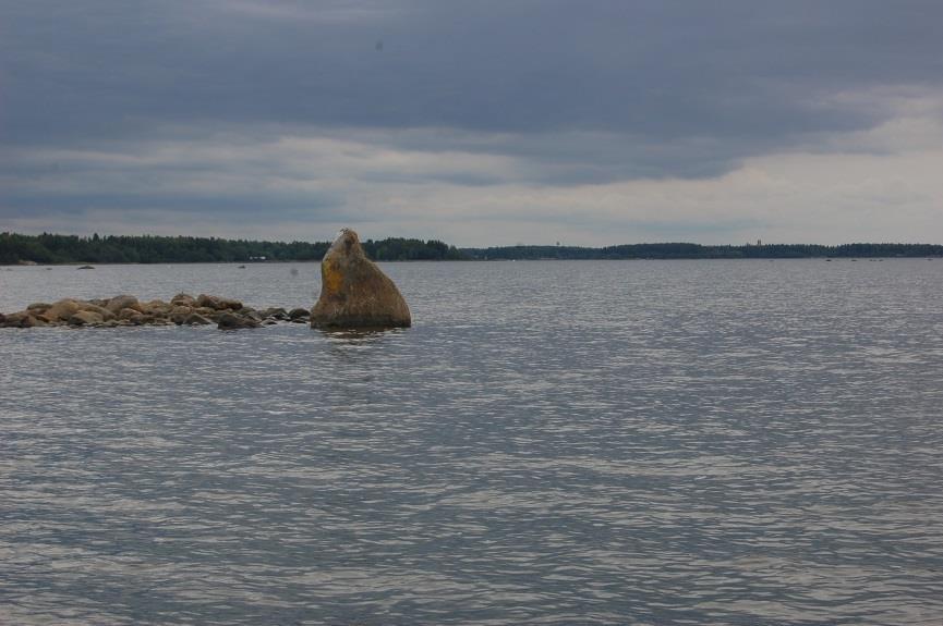 Peukalokivi. Pystyn peukalon mallinen kivi, jonka vierestä on kulkenut kalastajien käyttämä rannikkoreitti Krookkaan.