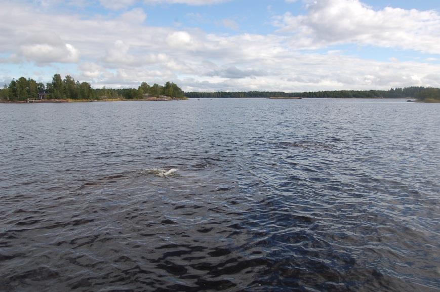Merikarvianjoen suistosta kilometrin verran merelle päin on lahdella kaksi petollista vierekkäin olevaa kiveä, jotka ovat selkeästi vedenpinnan yläpuolella.