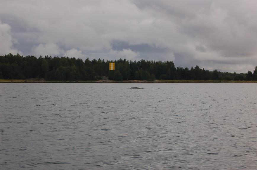 Silakkarysäkallio on Merikarvian Alakylän vesialueella, Ouran saariston maan puolelta kulkevan laivaväylän itäpuolella. Karttaan saari on kirjattu Isokivenkarina.