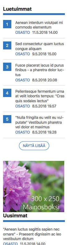 LAITEKOHTAISET MAINOSPAIKAT: TIETOKONE