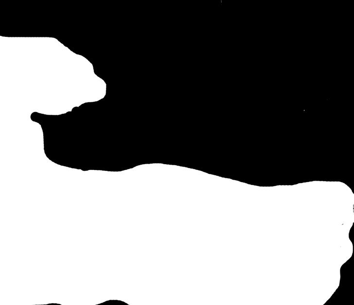 00 Ahtialantien ja Ohrapääntien risteys, josta kuljetus Lapakistoon 10 13-vuotialle 5, sisältää lounaan, joka valmistetaan retkikeittimellä, hyvää seuraa ja erilaista tekemistä Lisätietoja: