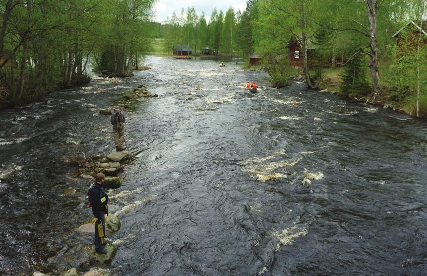 Hiekkatietä ajetaan perille asti (noin 1 km). Noin 2 km pitkän polun varrella on monenlaista luontoa ja helppokulkuisuutensa vuoksi polku sopii myös perheen pienimmille. www.virrat.