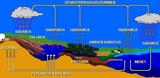 Veden hydrologinen kierto ja ihmisen vaikutus Kuva: http://www.