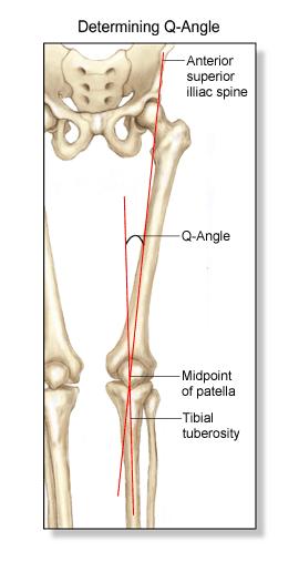 17 Kuva 4. Polven Q-kulma (Powell Orthopedics logo 2015) Polvinivelen passiivinen liikelaajuus fleksioon on mitattu olevan 130-140 astetta.