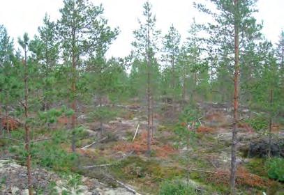 Huoltotiesuunnitelmassa voimalalta 34 rakennetaan tieyhteys etelän suuntaan voimalalle 37. Voimalalta 34 lähtevä tieyhteys sijoittuu ensin vanhalle metsäautotien pohjalle metsänuudistusalan reunaan.