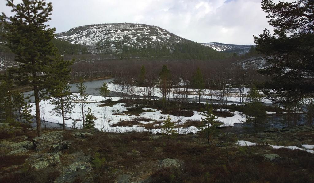 Su 4.3. Vk 34 Monokirkko Perinteinen monokirkko on na 4.3.2018 Ladun majalla klo 13. Järjestäjä Keltinmäen seurakunta. Kahvitarjoilu. Tervetuloa.