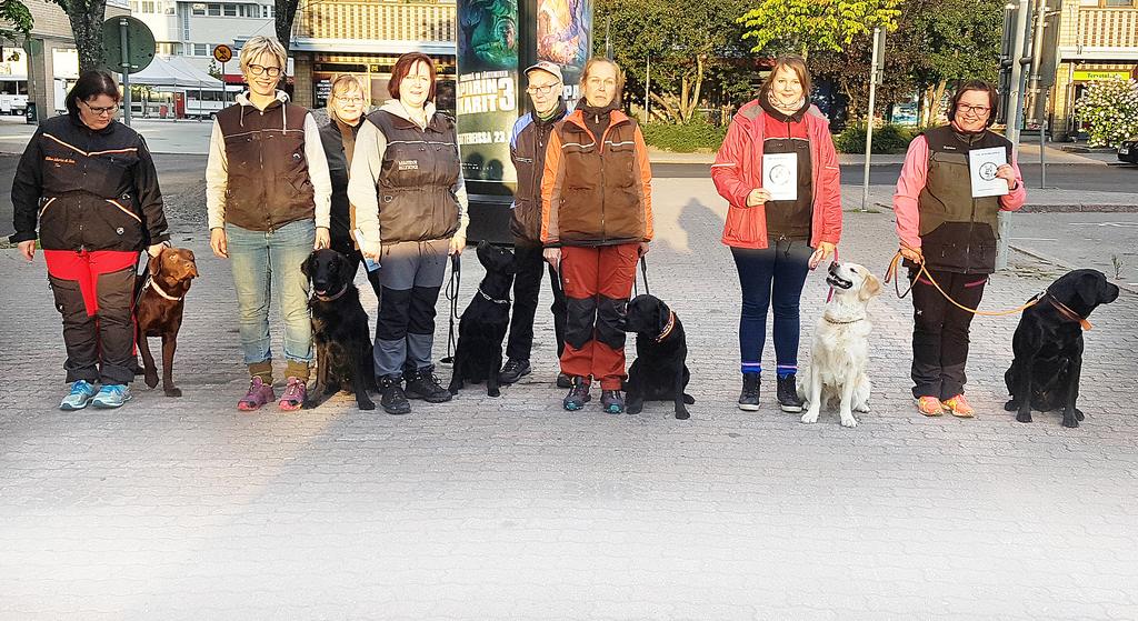 Toinen koira teki paikallamakuuta omistajan ollessa kauempana selin, kun taas toinen koira teki erilaisia seuraamisharjoitteita.