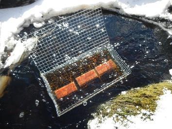 Kalateitä on rakennettu yksittäisiin kohteisiin uusien voimalaitosten yhteyteen. Etelä-Savoon on rakennettu kolme kalatietä ja useita on suunnitteilla. Kalaportaita on rakennettu mm.