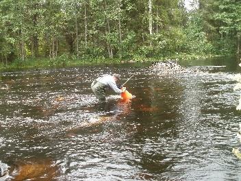 Lieksanjokeen, vanhan Lieksankosken alueelle, on rakennettu ns. luonnonmukainen kalatie, joka johtaa noin 5 km päässä olevalle säännöstelypadolle.