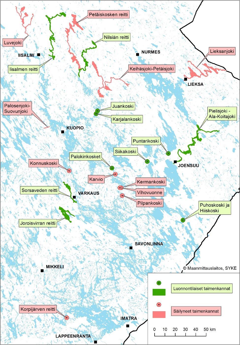 lisääntymisalueita ovat olleet Puntarikoski, Taipaleenjoen Siikakoski, Puhoskoski ja Hiiskoski.