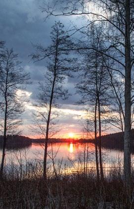 Mitä on infrapuna? Infrapunasäteily on lämpösäteilyä, jota saamme lähestulkoon päivittäin. Esimerkiksi 60 % auringon säteilemästä lämpösäteilystä on infrapunasäteilyä.