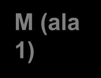 vuoden aikana Ryhmässä - 2 mentoria ja 2-4