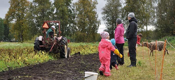 Osta tilalta -päivänä perunaa nostettiin pellosta näytösluontoisesti vanhalla heittopyöräkoneella. Juha Marttilan katsaus maaseudun tilasta ja iltapäivällä käsiteltiin MTK:n tulevaisuusasiakirjaa.