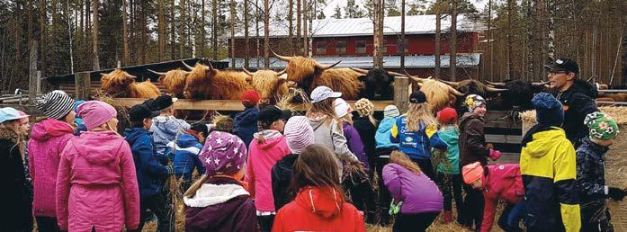 Liiton Maaseutu Tutuksi -hanke toteutti useita tilavierailuja yhdessä tuottajayhdistysten kanssa, kuten tämän Alajärven koululaisvierailun Koskenvarren Highlander -tilalla.