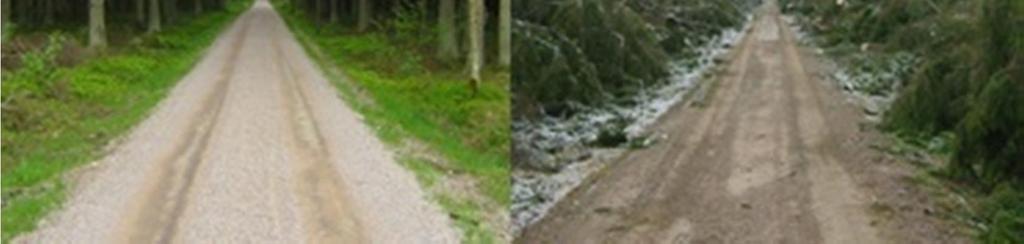 Kolmen vuoden hakkuut yhdessä yössä From forest