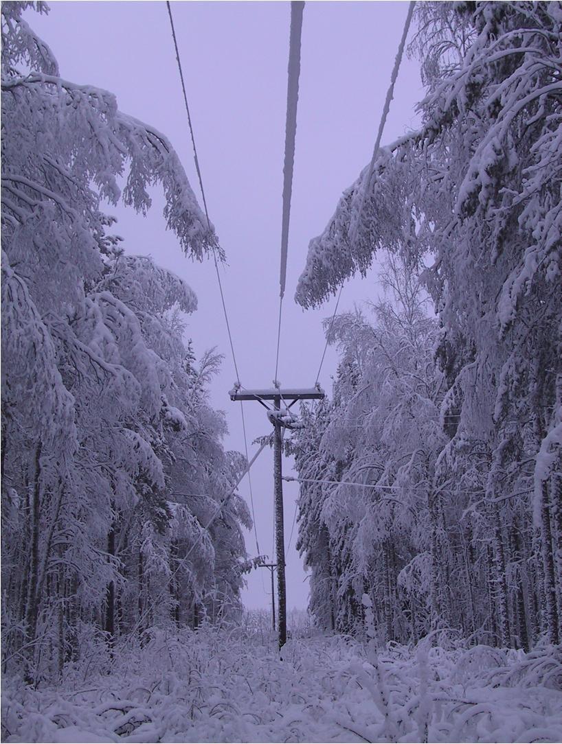 Tykkylumi