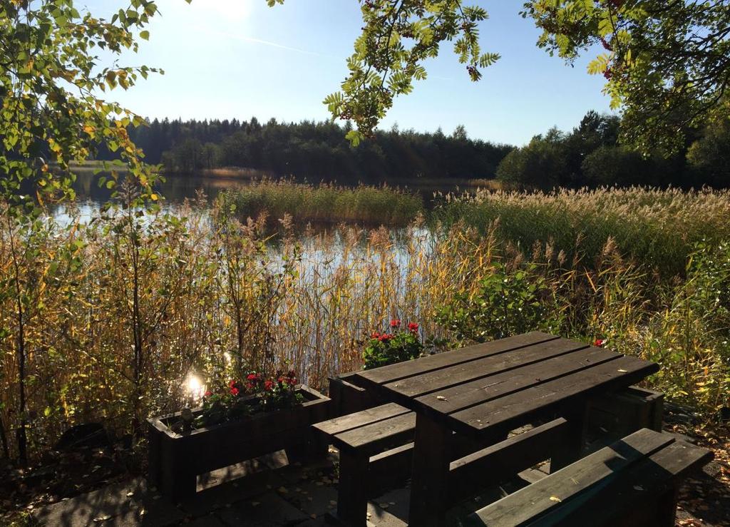 on kasvanut umpeen mantereen puolelta. Kaava-alueen viettää merelle.