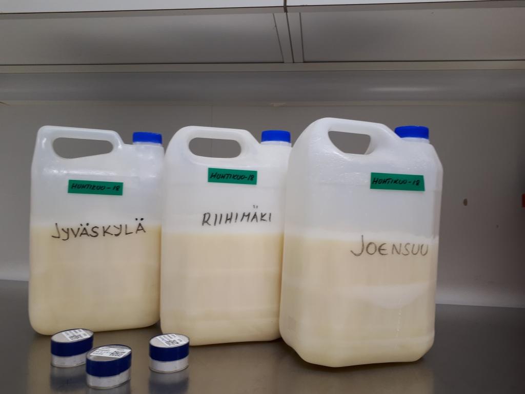 Kuva 8.3. Maitonäytteet. Bild 8.3. Mjölkprov. Fig. 8.3. Milk samples. Yhteyshenkilö: Kaisa Vaaramaa, Säteilyturvakeskus (kaisa.vaaramaa@stuk.