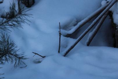 puolenpäivän jälkeen, tunti meni kävellessä. Mökissä lämmintä 17 ºC. Keittelin kahvit saaressa ja tein samalla lumitöitä.