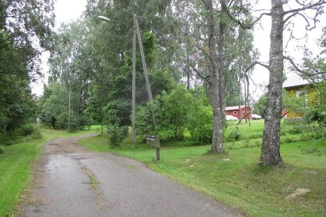 apila, syysmaitiainen, hopeahanhikki, nurmihärkki ja siankärsämö. Saimaantien reunassa on hoitamaton siperianhernepensasaita, jossa on joukossa koivuja, syreenejä ja nuoria vaahteroita.