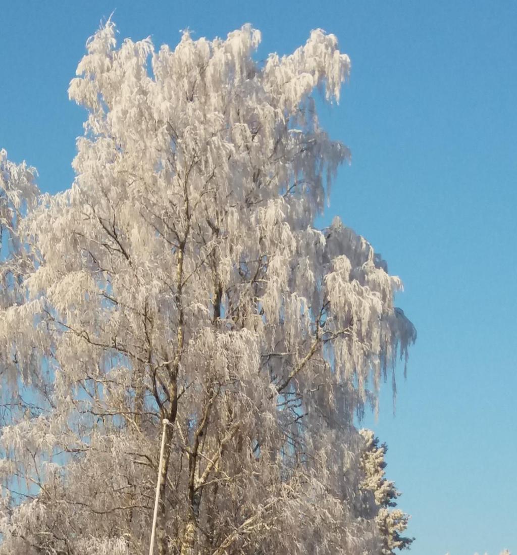 JULKINEN TIEDOTE Jaetaan kaikkiin