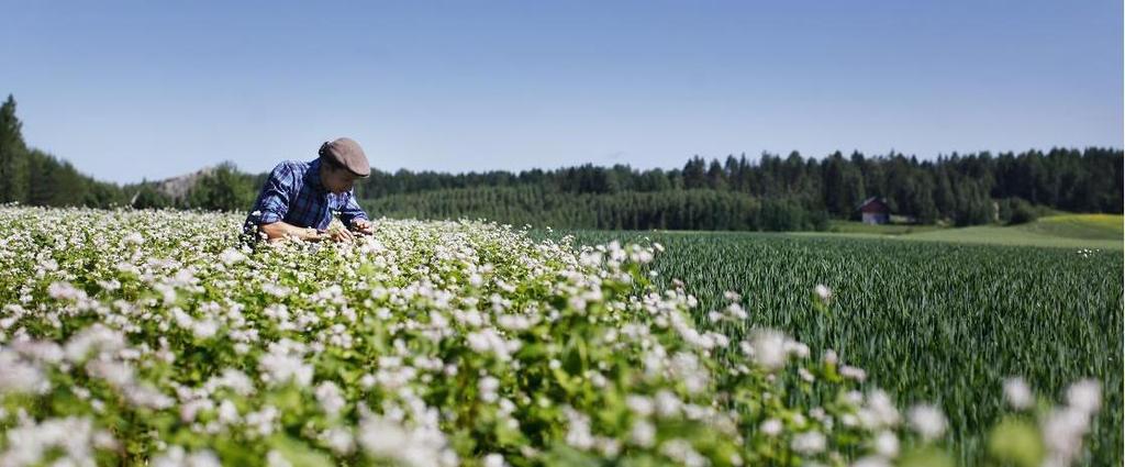 Maanviljelijän varautuminen ilmastonmuutokseen Kuva: Arttu