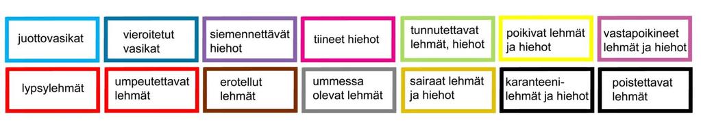 Ikä Ryhmittelyperusteita vasikat ja nuorkarja, ensikot/muut lehmät Tuotantovaihe ummessa/poikimista odottava/alku-, keski-, loppulypsykausi