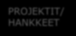 PROJEKTIT/ HANKKEET