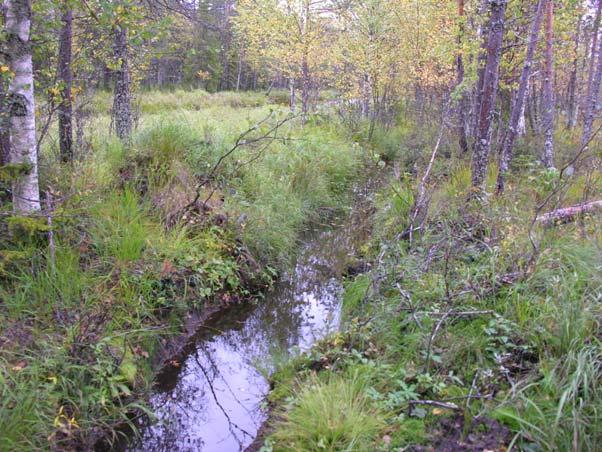 jänteet. Kuvaussuunta luoteeseen. 4.