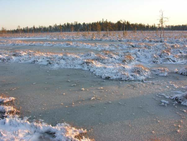 länsiosassa (merinku). Kuvaussuunta länteen. 20.