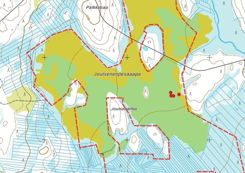 Makkara-aavan kämmekkäselvitys 2017 7 (8) Linkkahyöteikön suoalueet ovat kuvauksen perusteella vuosien 1997 ja 2009 inventointien kaltaisia eikä suotyypeissä ole tapahtunut kuivumiskehitystä.