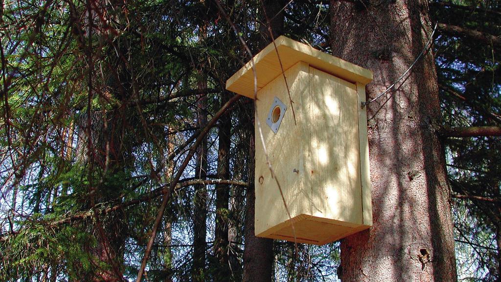 Peppi rakentaa oheisen kuvan mukaisista laudankappaleista linnunpöntön. Yksikkönä on senttimetri. a) Paljonko linnunpönttö painaa?