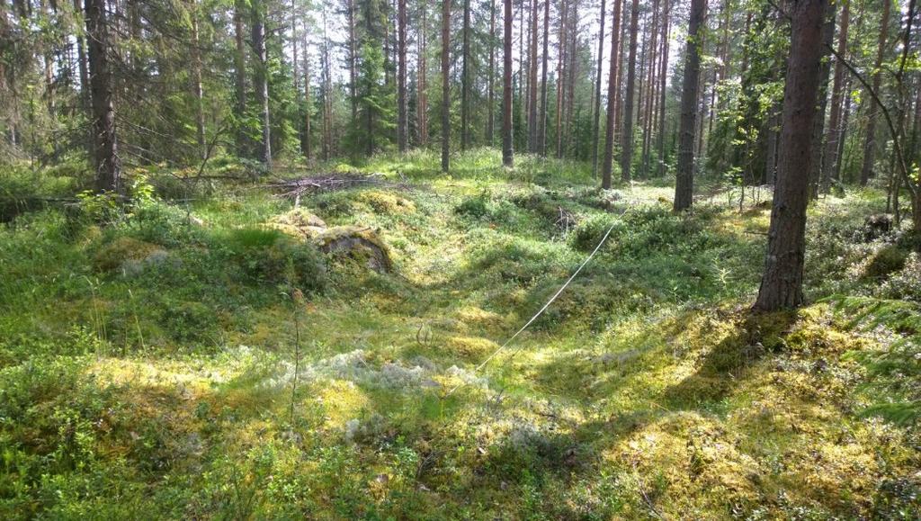 Koekuoppaa PH4 kaivetaan painanteeseen 10,