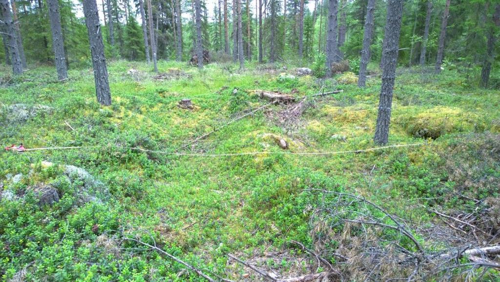 2.2 Vesistöhistoria Kivikautiselle metsästyksen ja keräilyn varassa eläneelle väestölle veden läheisyys oli keskeistä ja siksi asuinpaikat lähes aina sijaitsivat veden äärellä.