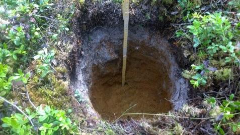 6 kpl 35 cm Kuva PH2 4 tuulenkaadon pohjaan tehty, kivistä hiekkaa, podsoli, punertava kulttuurikerros 20 cm