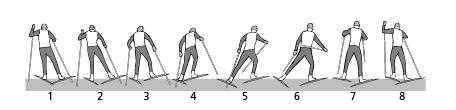 2.2.1 Perusluistelu/kuokka/V1 KUVA 4. Perusluistelun liikesykli. Asennoissa 1-4 tapahtuu sauvatyö sekä sauvatyön puoleisen jalan liuku ja potku. Asennoissa 5-8 tapahtuu toisen puolen liuku ja potku.