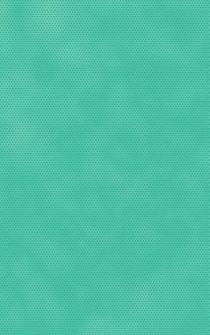 kolmikerroksinen kaksi reikää, pyöreä, epäkeskinen 12 33 381 11 / 22 9
