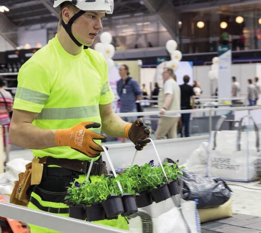 automaatioalan tiimi // tieto- ja tietoliikennealan tiimi // talonrakennus- ja puualan tiimi // talotekniikka-alan tiimi // kaivos-, kivi- ja louhinta-alan tiimi // logistiikka-alan tiimi // autoalan