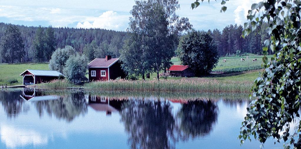 KÄYTTÖ- KOHTEET KÄSITTELY- MENETELMÄ TUOTTEET PANOS- PUHDISTAMO JITA Kemik s. 6-7 OMAKOTITALO Uudisrakennus Saneeraus IMEYTYS MAA- SUODATUS ERIKOIS- RATKAISUT JITA I-3500 s. 8 JITA I-2500 s.