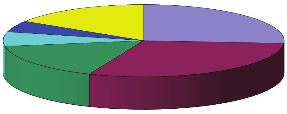 Kansanlähetyksen tulot 2017 Muut tulot 16,0% Valtakunnalliset keräykset 5,1 %