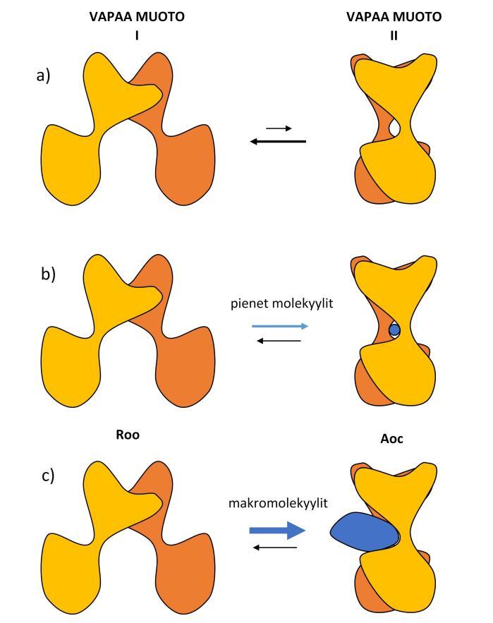 Kuva 5. Kiilamalli. a) Esitys makeareseptoridimeerin konformaatioiden välisestä tasapainotilasta vapaiden muotojen I ja II välillä. Lepotilassa tasapainotila on siirtynyt suosimaan vapaata muotoa I.
