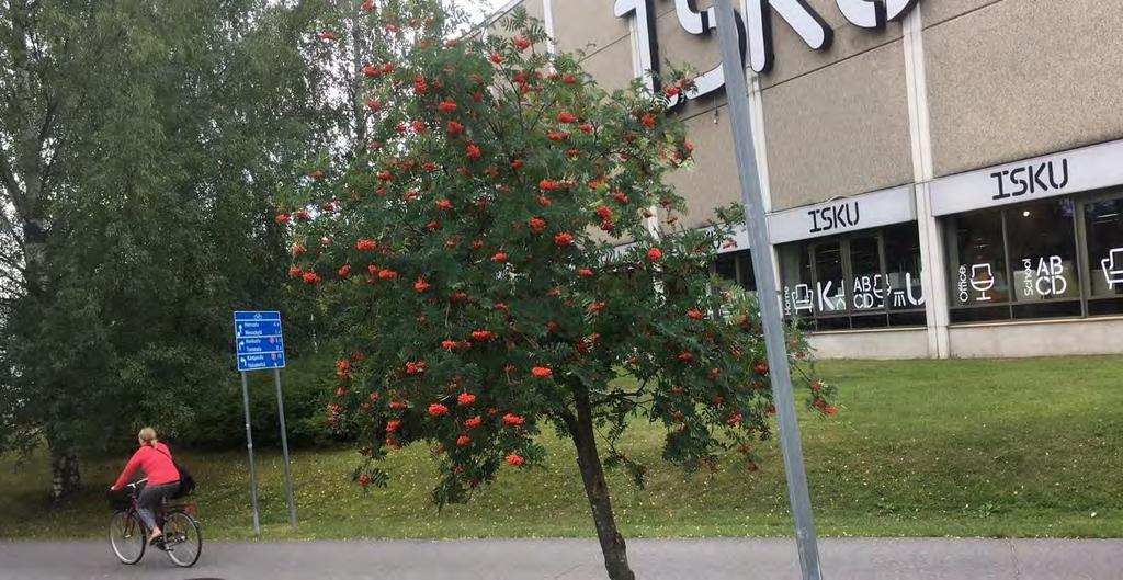 Sammonkadun hulevesiviemäri tulvii mittavasti harvinaisempien sadetapahtumien aikana.