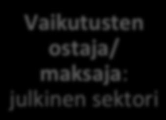 maksaja: julkinen sektori 2.